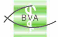 BVA Logo