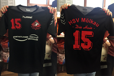 Handball HSV Mölkau - die Haie